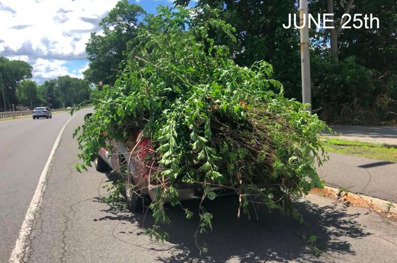 Source: Chicopee Police Department